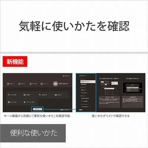 ソニー 4Kチューナー内蔵 ブルーレイレコーダー ３番組同時録画 2TB BDZ-FBT2200