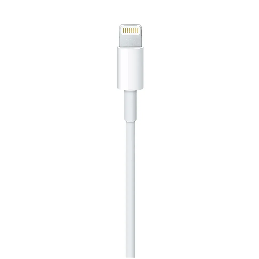 Apple Lightning to USB Cable (2Metre) – MD 819
