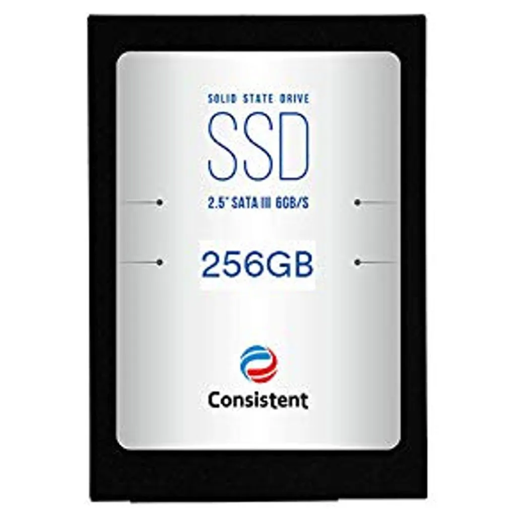 Consistent Solid State Drive 256GB