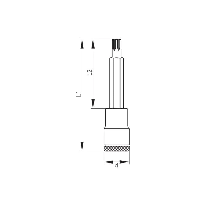 Gedore 1449591 Screwdriver Bit Socket 1/2 Inch, Drive RIBE M10