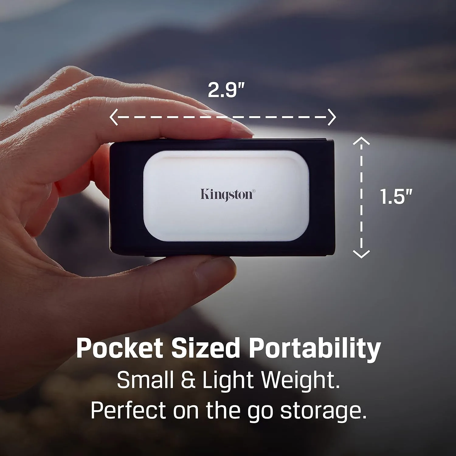 Kingston 500GB XS2000 USB Type-C 3.2 Gen 2x2 Portable SSD SXS2000/500G